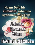 1699057017424.png