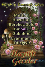 1701122716592.png
