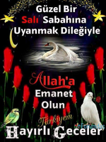 1701731831658.png