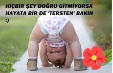 1703026418026.png