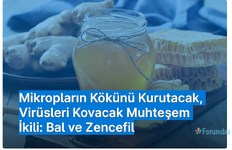 BAL ve ZENCEFİL.png