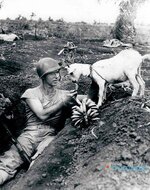 16. Saipan savaşı sırasında muzlarını keçiyle paylaşan bir asker.jpg 16. Saipan savaşı sırasında muzlarını keçiyle paylaşan bir asker.jpg
