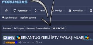 ERK_DYR.jpg ERK_DYR.jpg